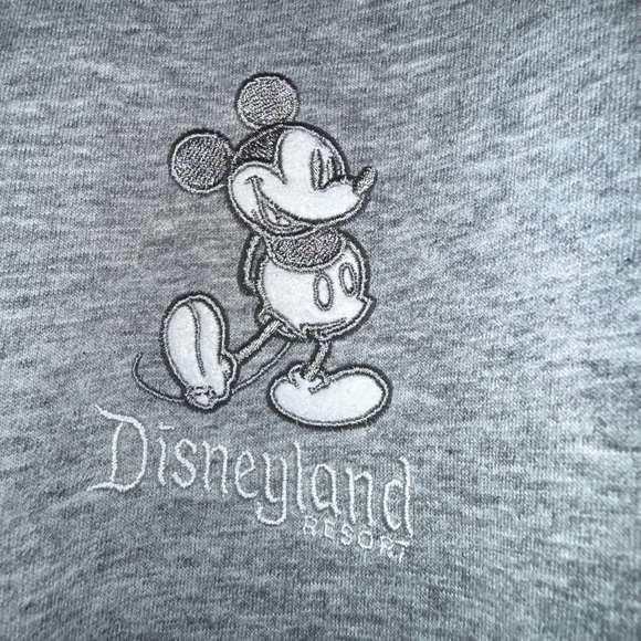 Disney women’s 2x plus full zip hoodie sweater grey. Disneyland - Picture 5 of 9